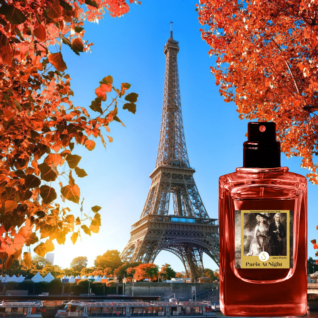 PARIS AT NIGHT Inspired by MON PARIS