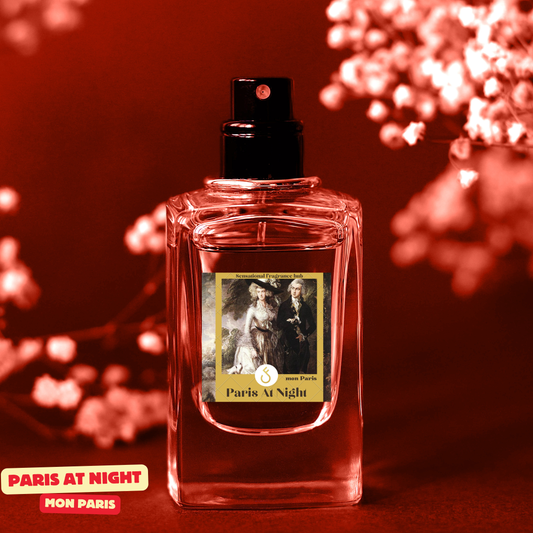 PARIS AT NIGHT Inspired by MON PARIS